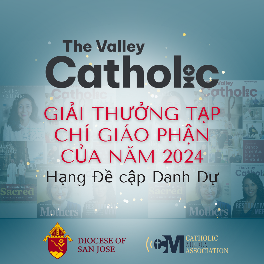 Vietnamese Magazine of the Year