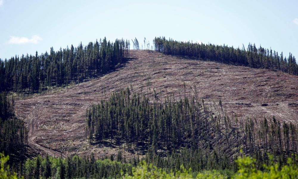 Choose Life by Caring for Creation 2