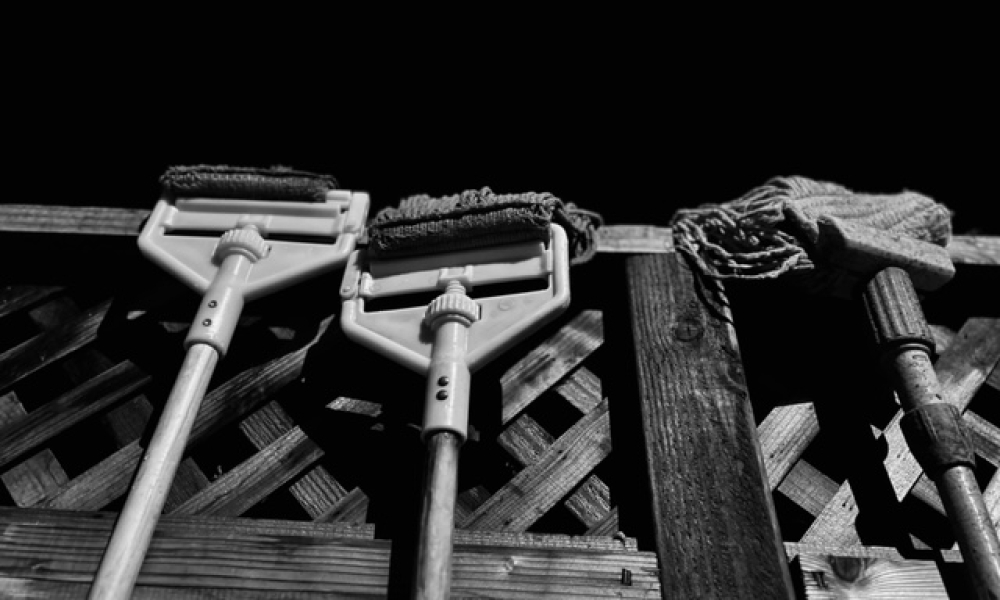 Mops hanging over trellis fence