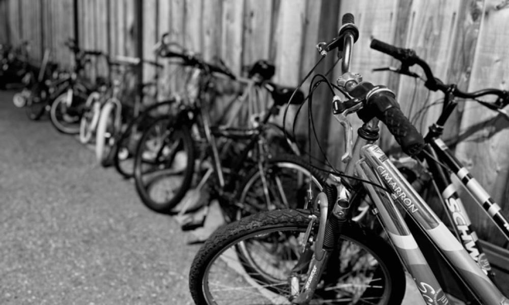 Bikes in a row against wooden fence