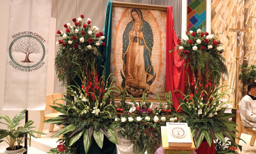 The Journey to 2031, Pastoral Plan: Family Reflection Q&A: Colin and Myra Haubrich Spanish
