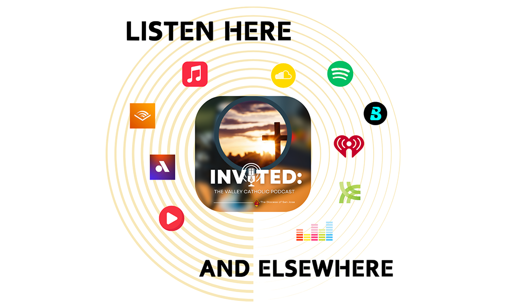 Floating Logos from Mainstream Streaming Destinations