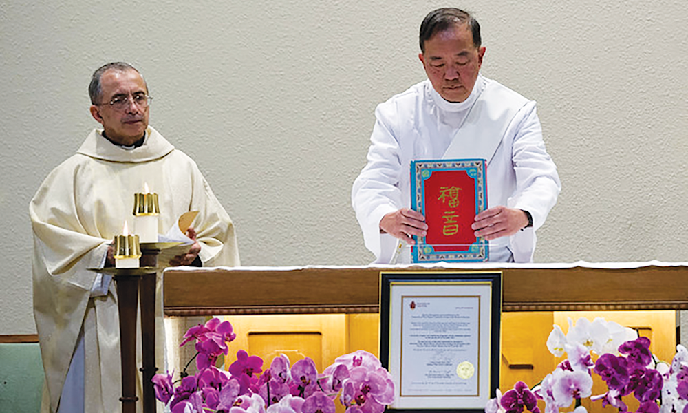 The Seed that Has Become a Tree 2