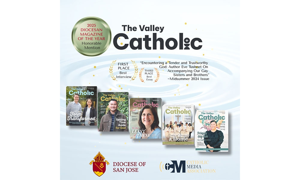 Montage of TVC Magazine covers in award announcement
