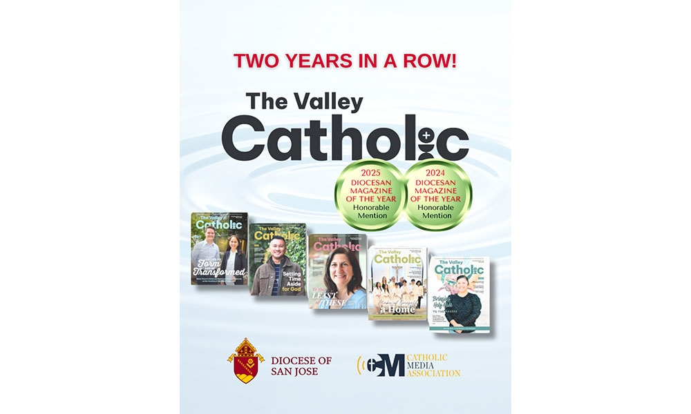 Announcement for TVC Magazine of the Year 2025 with Magazine Covers