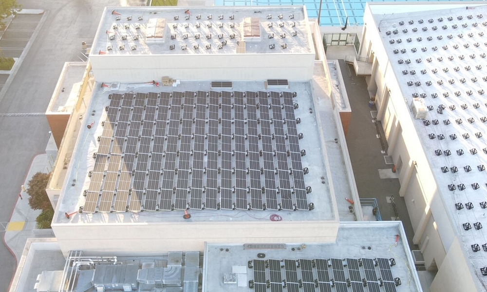 Saint Francis High School Prioritizes Sustainability (Green Ribbon Award) 7