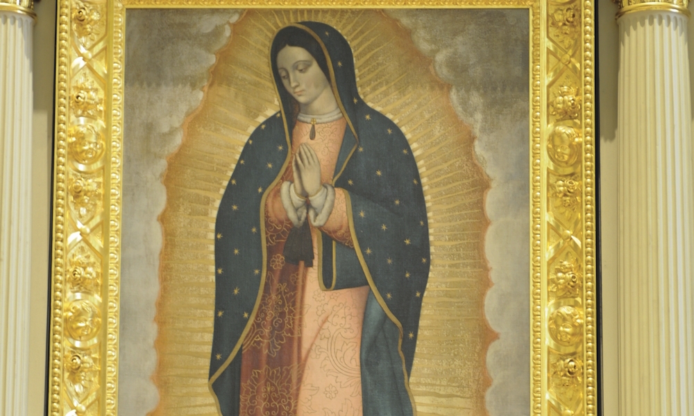 Through The Eyes of Its Guides 3