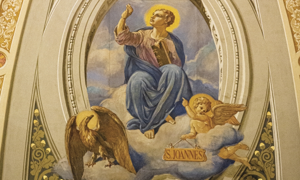 Through The Eyes of Its Guides 5