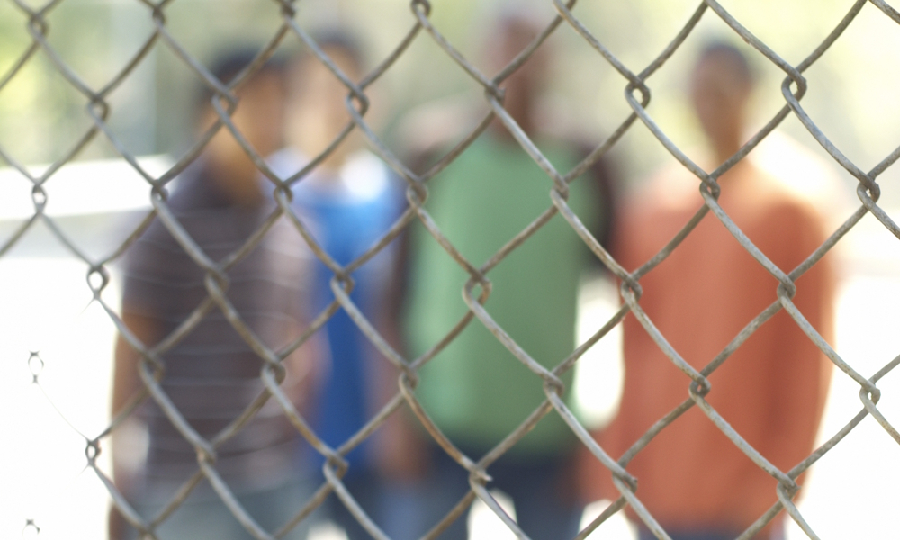 Community Immigration Advocates Share Their Perspectives and Experiences 7